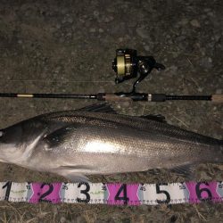 ががっときました。