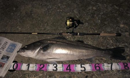 ががっときました。