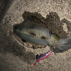 最後はホームでRUN