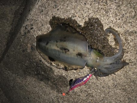 最後はホームでRUN