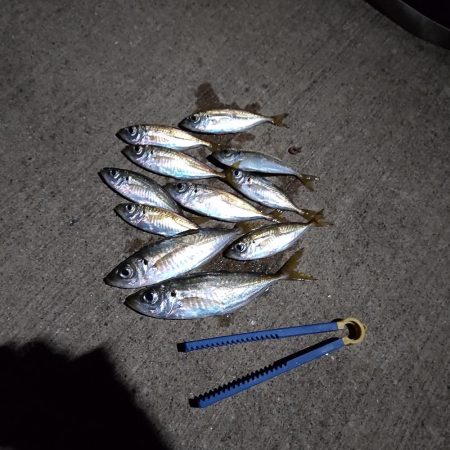 ライトゲーム（アジング）