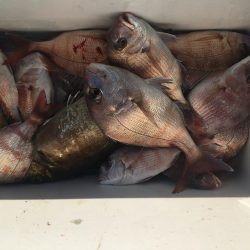 たかたかの釣り日記