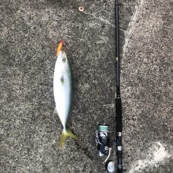 釣りで運動不足解消