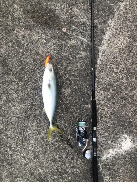 釣りで運動不足解消