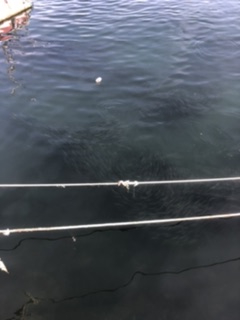 渋すぎやしませんか？