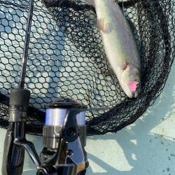 エリアトラウトin亀岡市