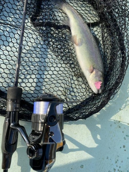 エリアトラウトin亀岡市