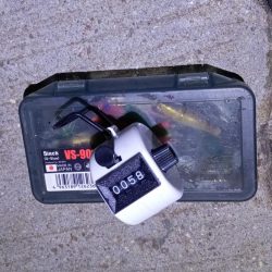 ヒイカエギング