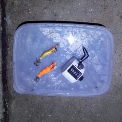 ヒイカエギング