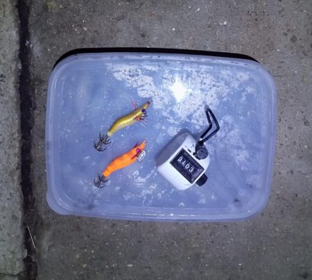 ヒイカエギング