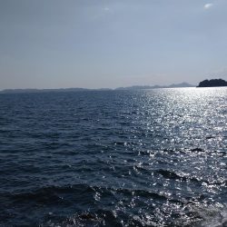 今年地元初青物