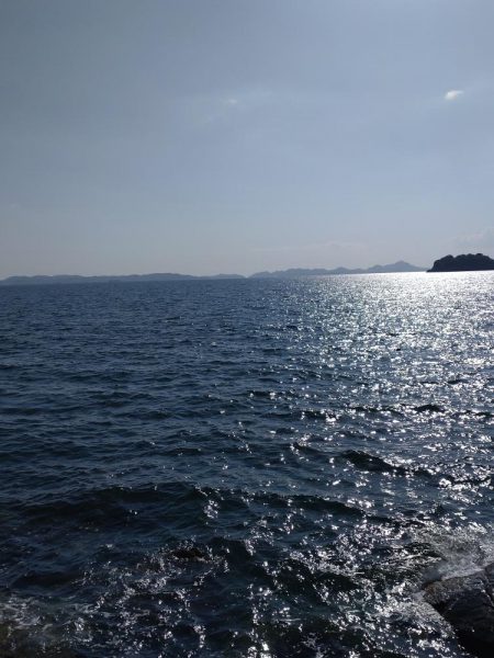 今年地元初青物