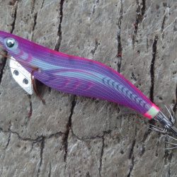 今回はアオリをメインで