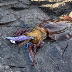 半年ぶりの釣行です。