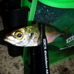 常夜灯でポツポツ