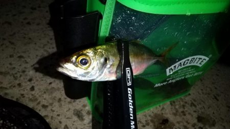 常夜灯でポツポツ