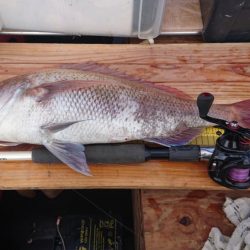 久々の2馬力ボート釣り