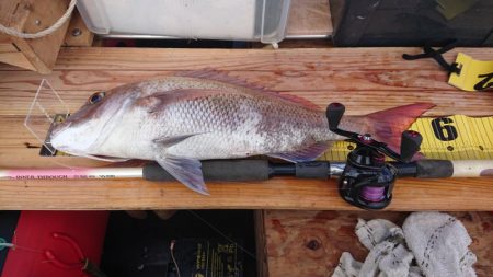 久々の2馬力ボート釣り