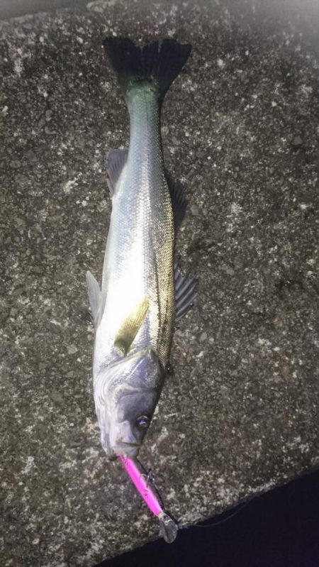 ３年ぶりの場所