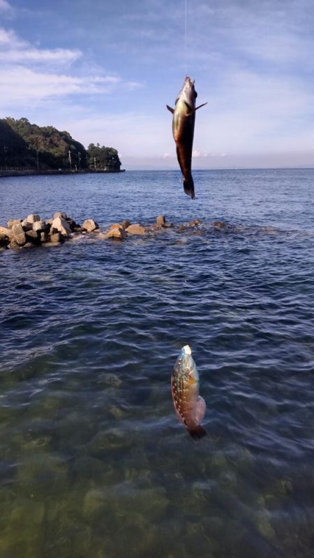 堤防五目達成ならず