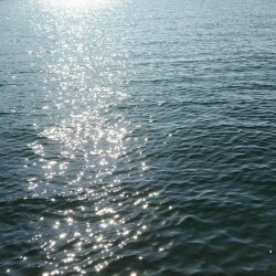 なかなか会えずにシーズン終わりそうだ