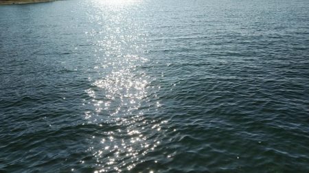 なかなか会えずにシーズン終わりそうだ