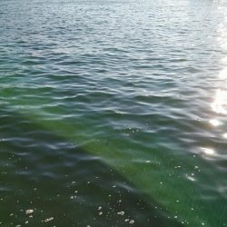 本命は音沙汰なく嬉しいゲスト