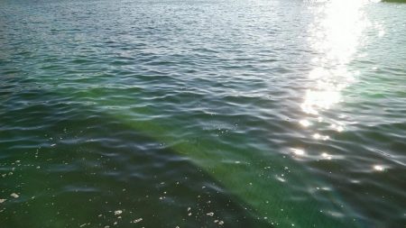 本命は音沙汰なく嬉しいゲスト