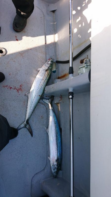 オフショアジギング初挑戦