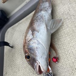 久しぶりの小豆島の西側回り