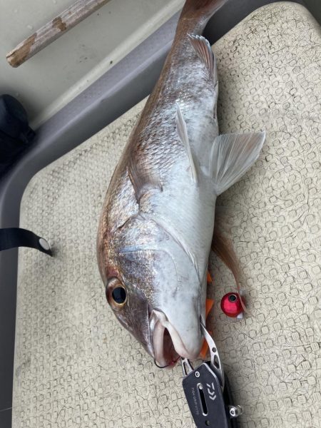 久しぶりの小豆島の西側回り