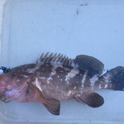 久しぶりの牛窓沖