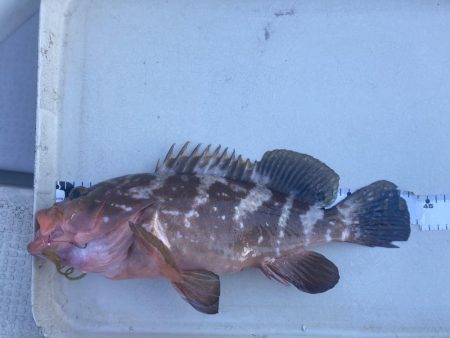 久しぶりの牛窓沖