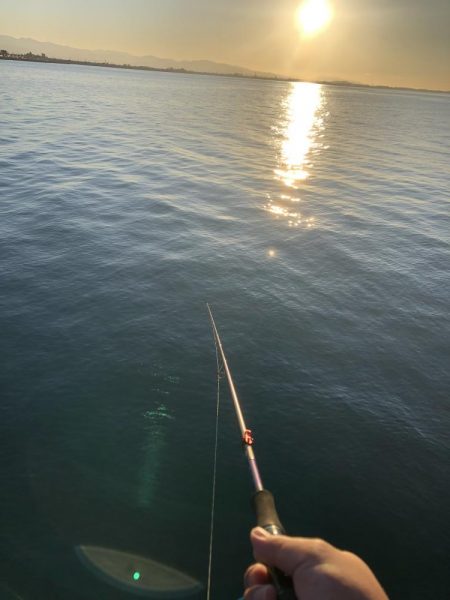 最後のアオリイカ狙い