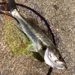 苅田港北九州空港