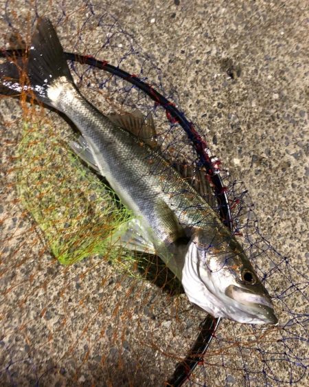 苅田港北九州空港