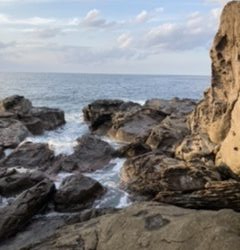 ショアジギング