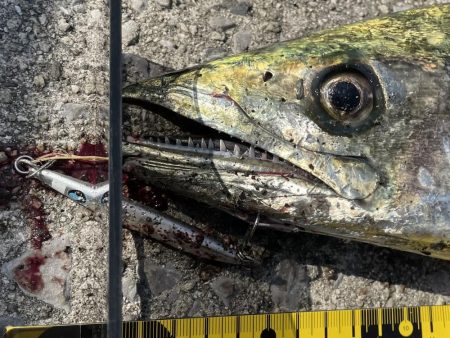 アウェイでミラクル3目釣り‼️‼️