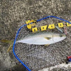 トップで来た〜