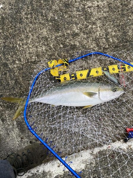 トップで来た〜