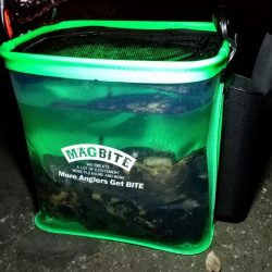 港内ボトム探り