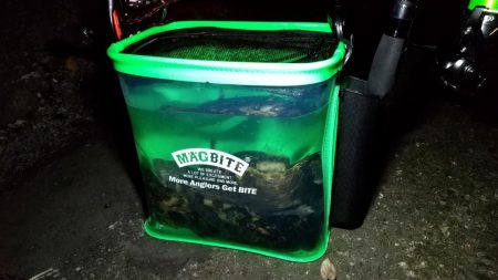 港内ボトム探り