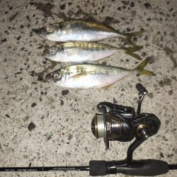 入れ食いではある