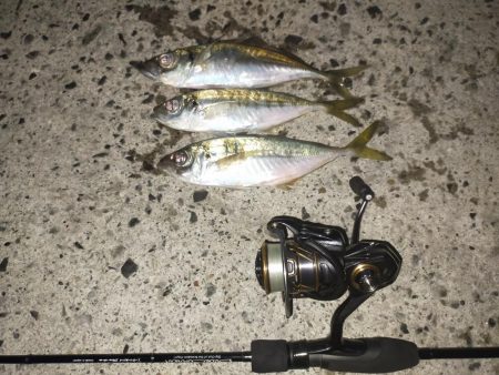 入れ食いではある