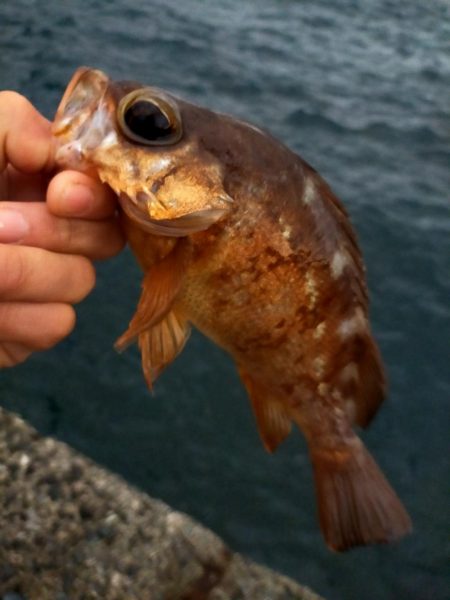 爆風では厳しい