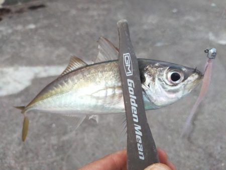 サイズが出ない