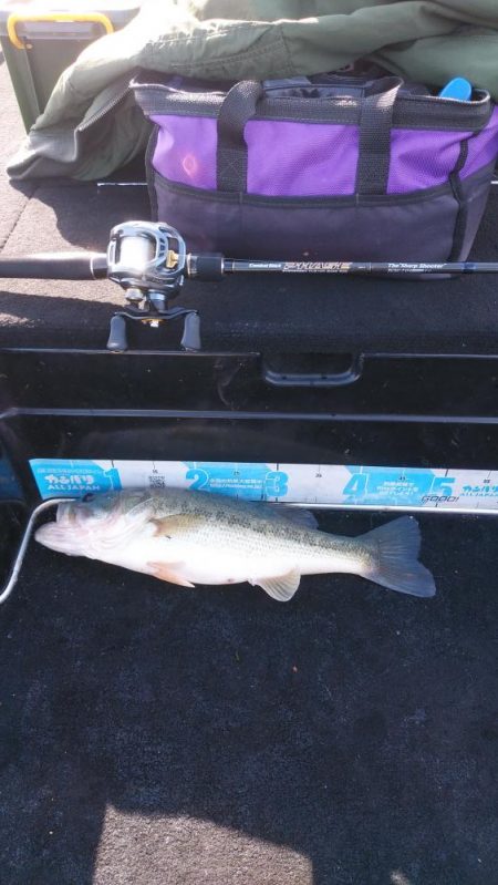 北山田50~37cm７本