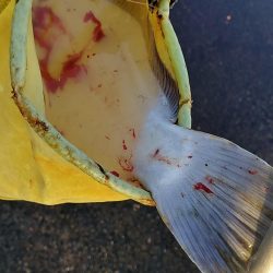 モーニングサービス