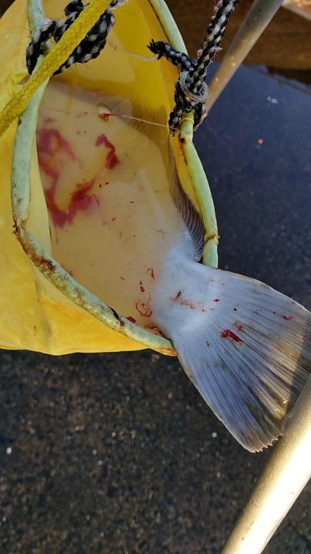 モーニングサービス