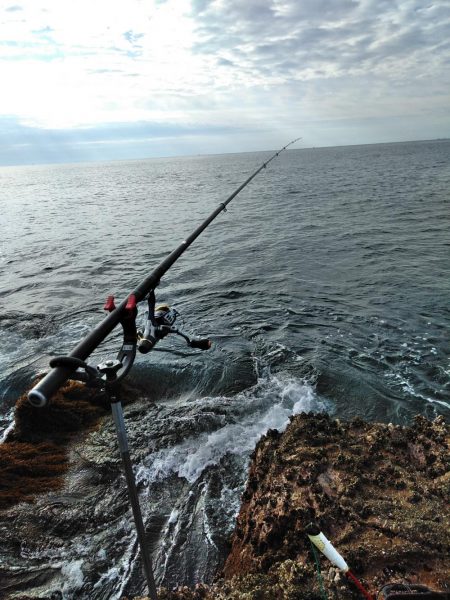 フカセ‥最高ですネ・・